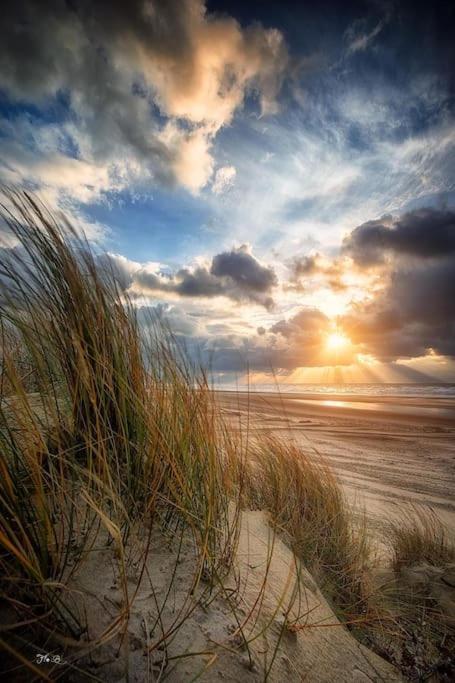 Vue Mer Berck ภายนอก รูปภาพ